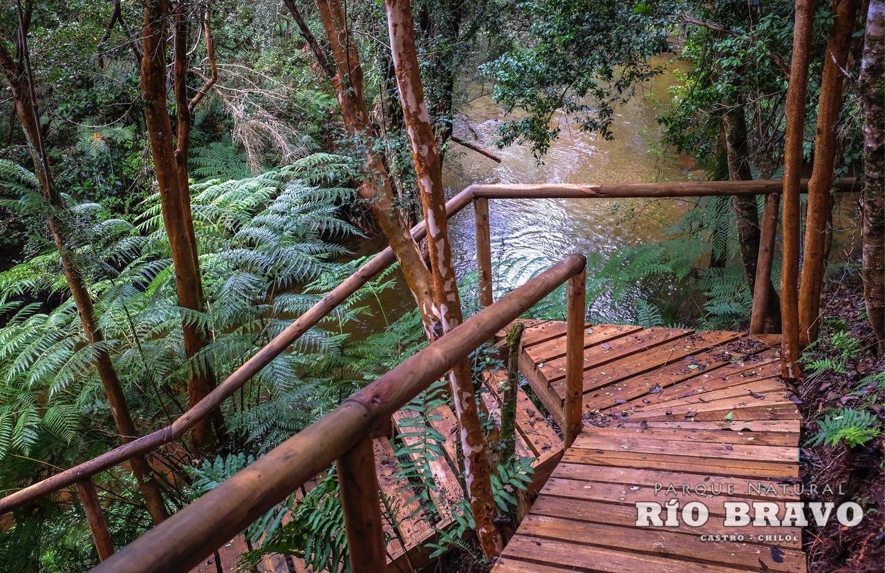 Parque Natural Rio Bravo Lodge Castro Exterior foto